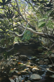 Abrahan Pinto Mendoza