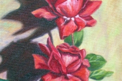 amelia_006