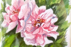 amelia_009