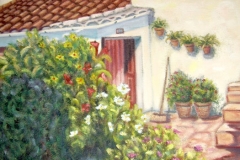 amelia_012