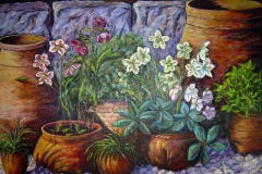 amelia_015