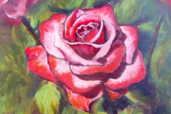amelia_019