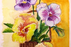 anamary_013