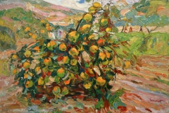 aguera_107