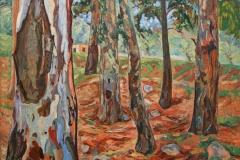 aguera_184