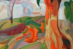 aguera_224