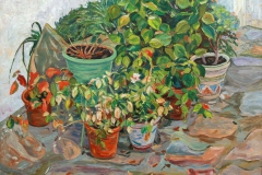 aguera_239