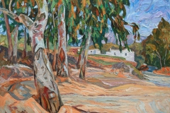 aguera_272