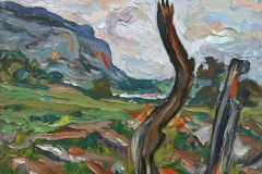 aguera_273