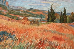 aguera_278