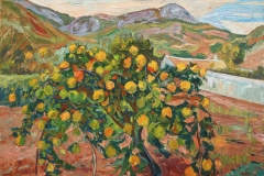 aguera_290