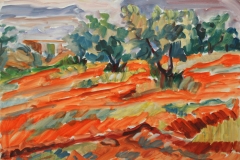 aguera_292