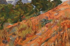 aguera_332