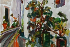 aguera_338
