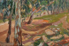 aguera_452