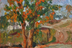 aguera_456