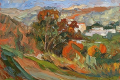 aguera_467