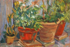 aguera_473