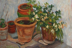 aguera_476