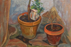 aguera_477