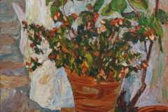 aguera_478
