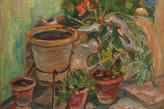 aguera_479