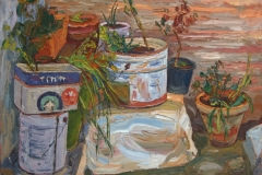 aguera_480