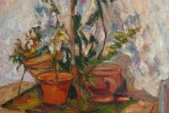 aguera_482