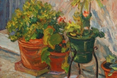 aguera_483