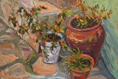 aguera_485