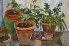 aguera_487