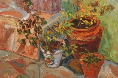 aguera_488