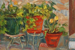 aguera_489