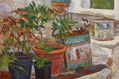 aguera_490