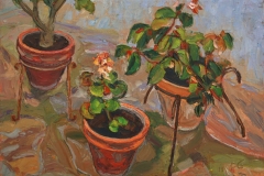 aguera_491