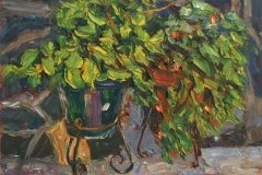 aguera_492