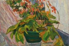 aguera_493