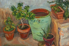 aguera_494