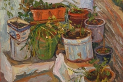 aguera_495