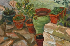 aguera_496