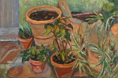 aguera_497