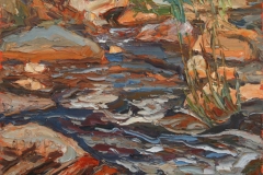 aguera_517