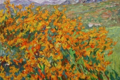 aguera_556