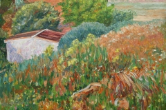 aguera_570