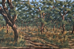 blasrios_019