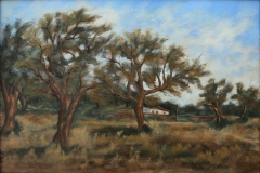 blasrios_022