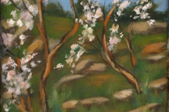 blasrios_025