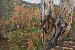 blasrios_039