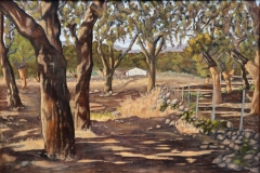 blasrios_046