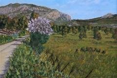 blasrios_051
